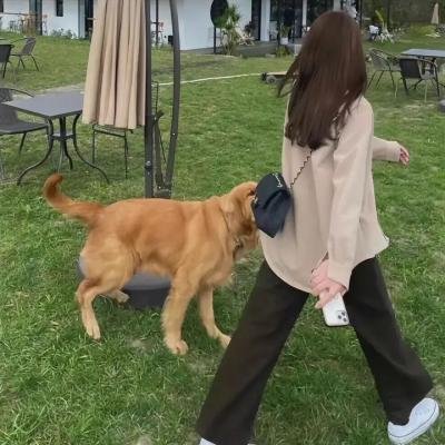 狐妃,别惹火